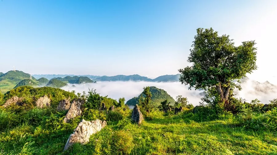 镇雄小西藏生态大花山