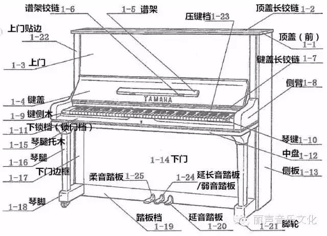 钢琴内部结构清晰图图片