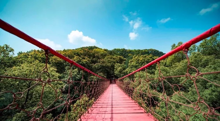 重慶主城四大名山吃雞攻略好吃好玩還避暑