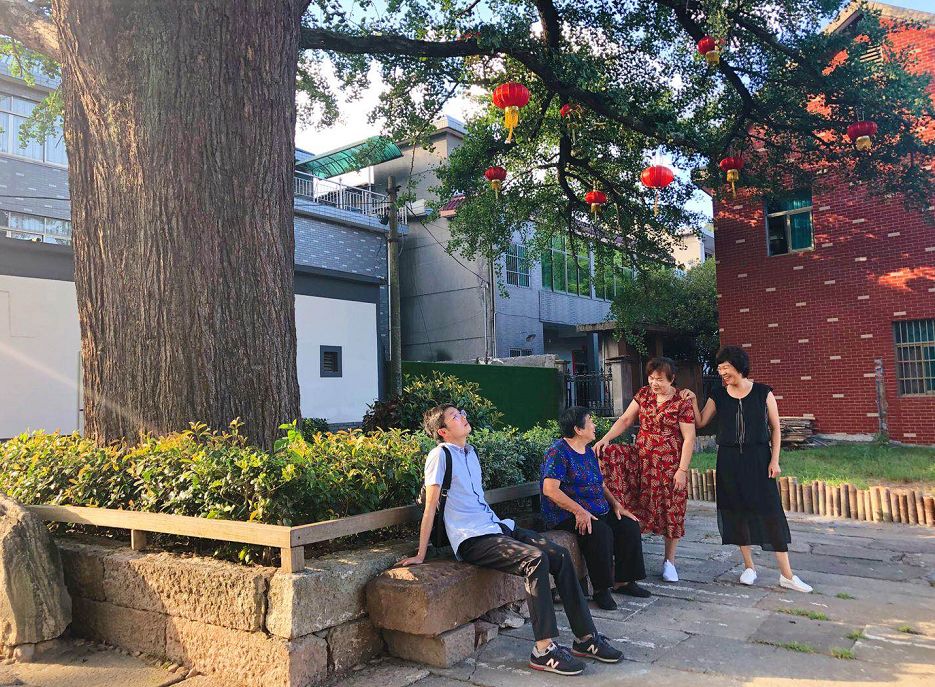 河上鎮鳳塢村這棵銀杏樹約有700年的歷史.