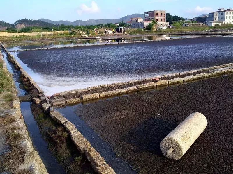 海盐人口分布_海盐蛋糕图片