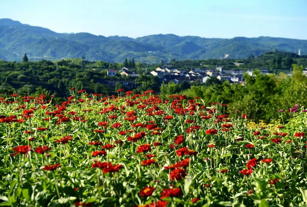 火炎焱燚燒烤模式下這裡夏花正豔清溪長流低八度的神奇山野約嗎