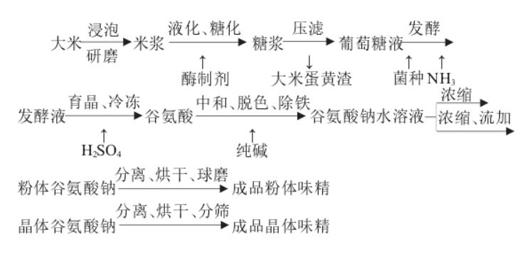 谷氨酸钠制作工艺流程图片