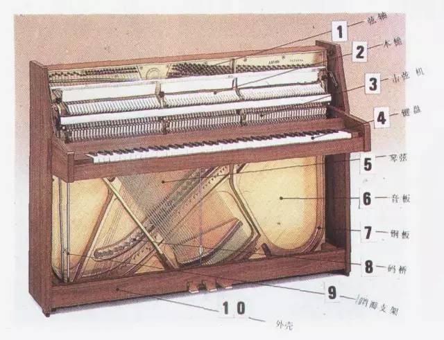 钢琴内部结构清晰图图片