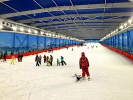 室内滑雪场室外滑雪场总占地180亩,雪道总长2000余米,分为教学,扯级