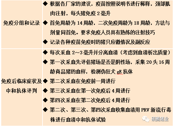 清偽靈與某進口偽狂犬疫苗免疫誘導新流行毒株中和抗體的對比試驗碩騰