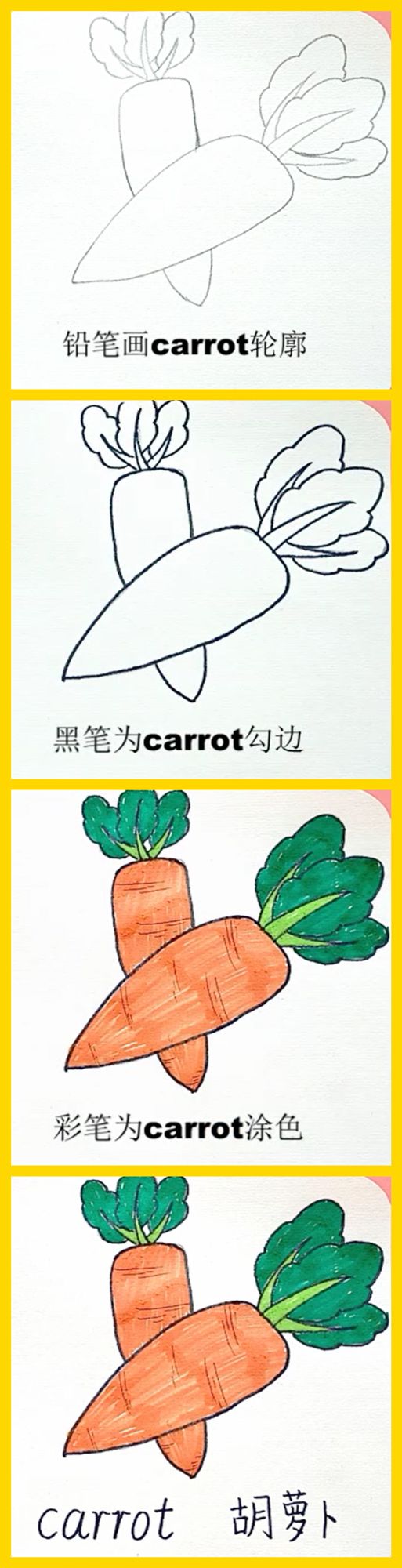 英语萌萌画carrot胡萝卜
