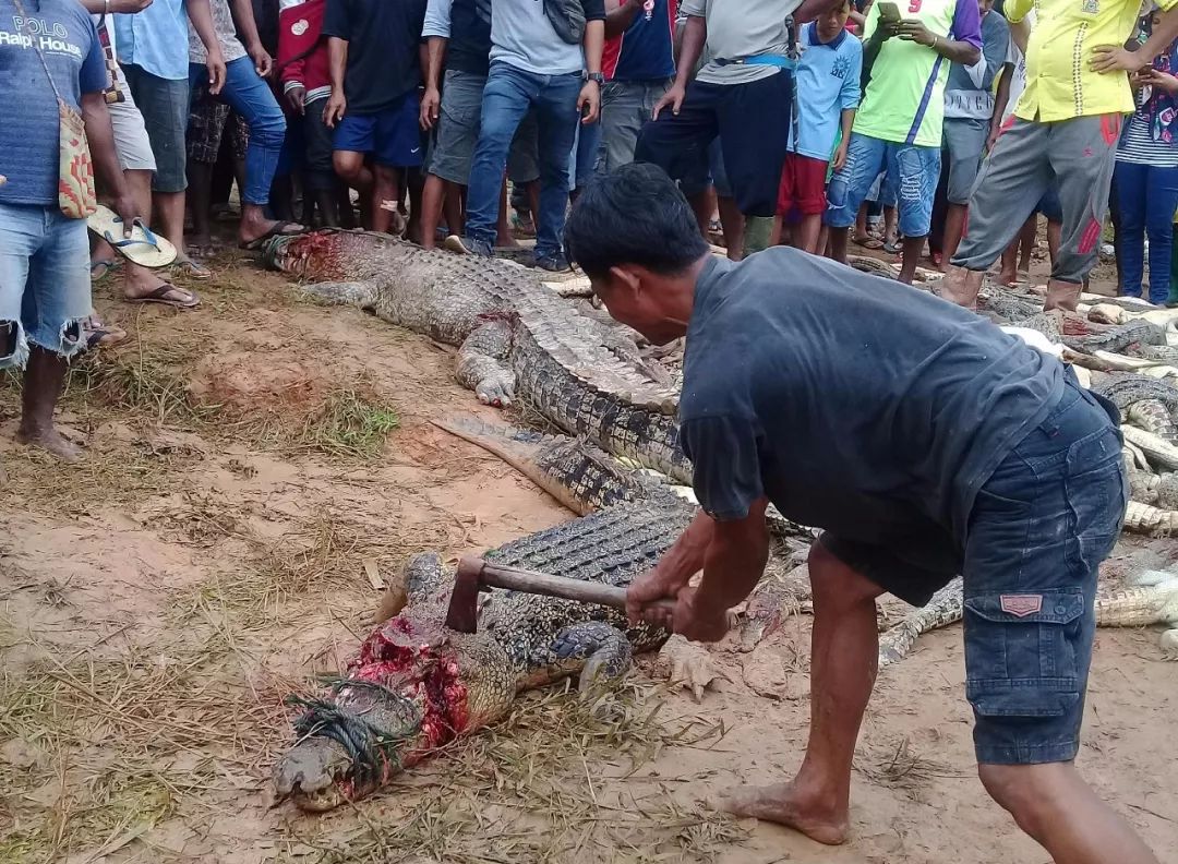 鳄鱼咬死人现场图片图片