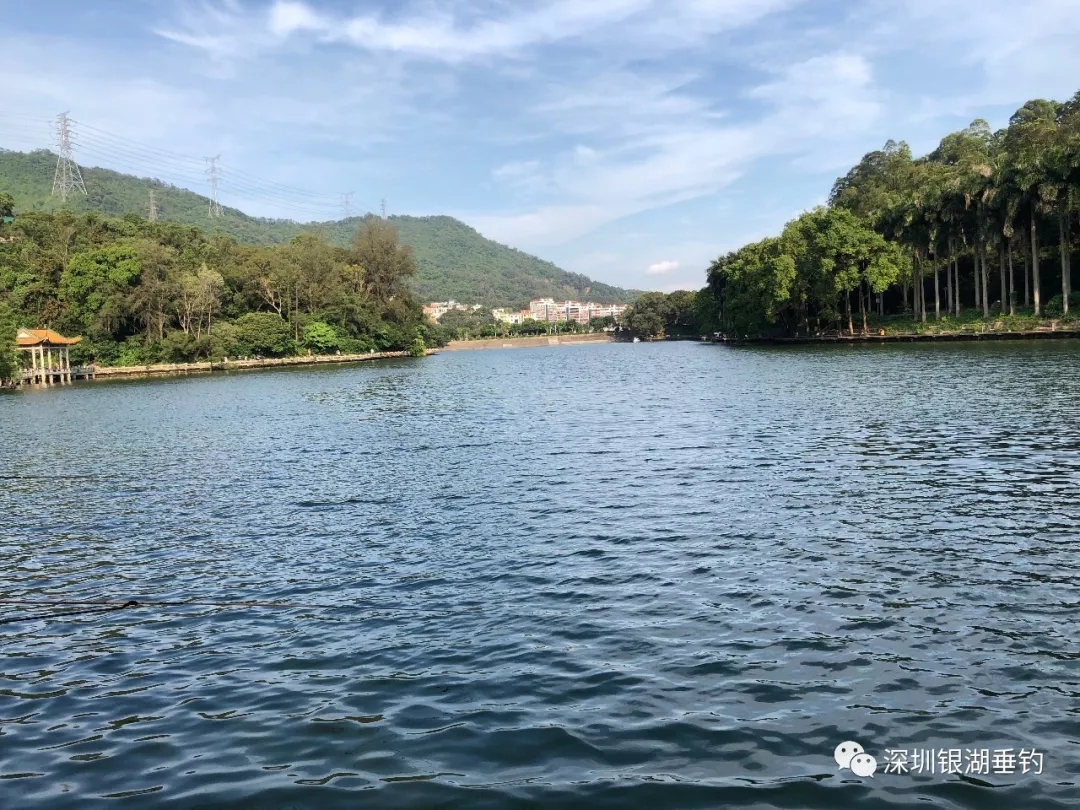 报名费含银湖垂钓钓鱼服一件,中午银湖会议中心(酒店)自助餐一餐,鱼获