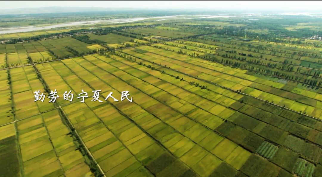 60年 櫛風沐雨 勤勞的寧夏人民 用智慧 用行動 書寫新時代的華章