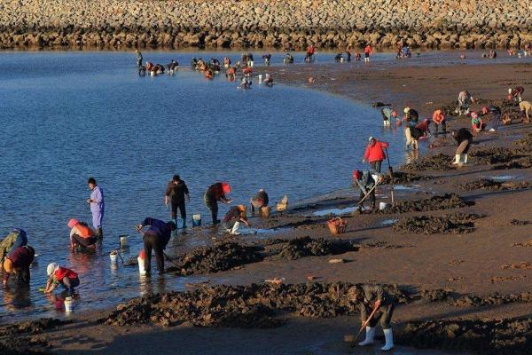 超实用的秦皇岛赶海攻略 金梦海湾第一观