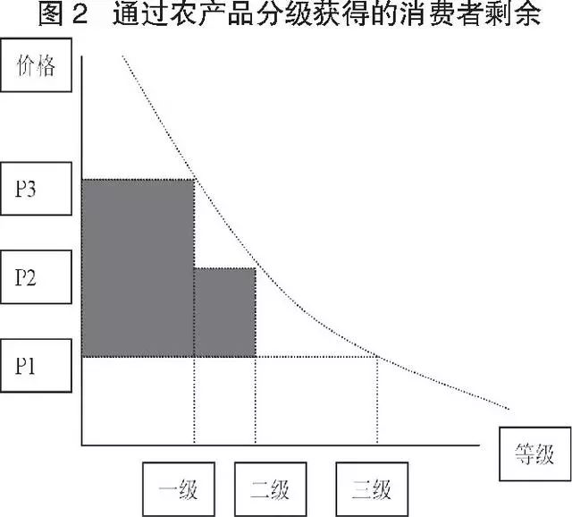 農業產業鏈整合中的農產品價值鏈分析