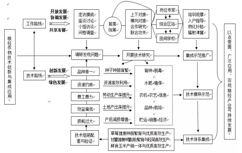 玉米课程网络图图片