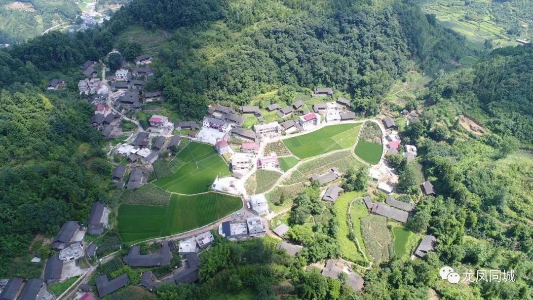 穷乡僻壤成宝地里耶镇兔吐村成为三峡大学研究生实践教学基地