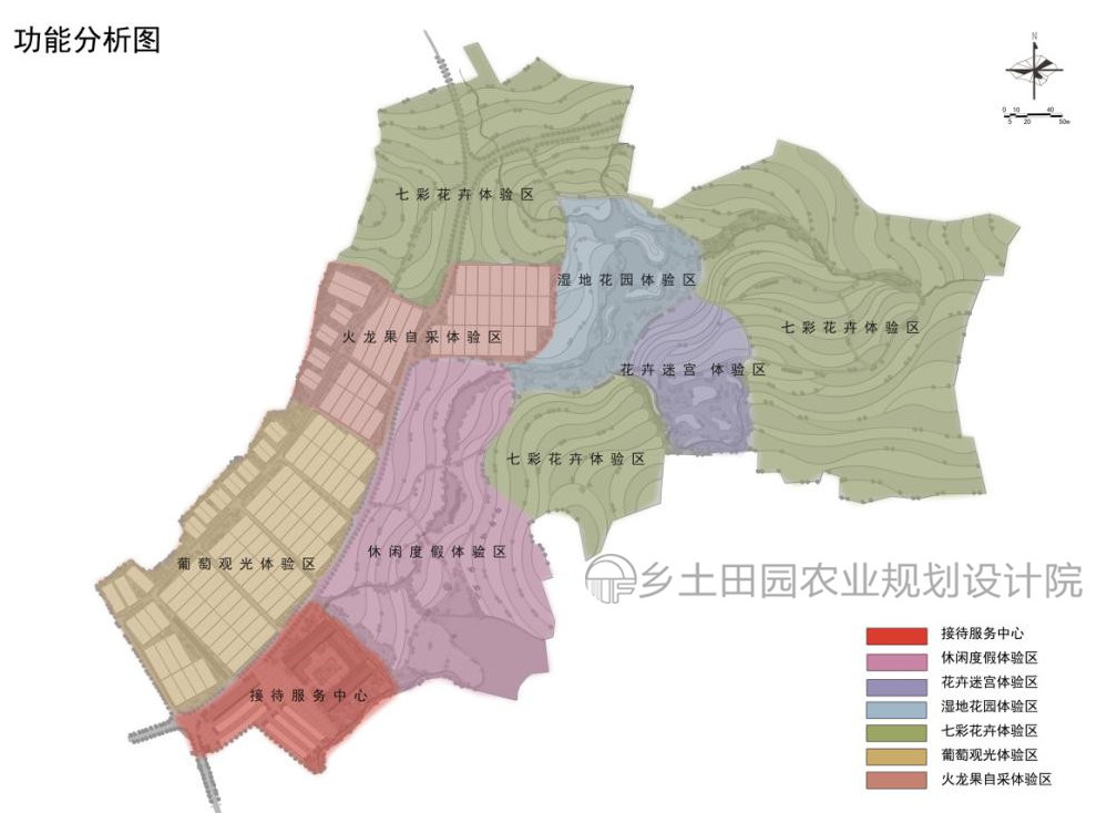 功能分区▲总平面图依托项目区良好的生态环境及养生资源,结合上高县