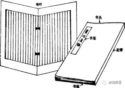 鸡挂签图解书图片