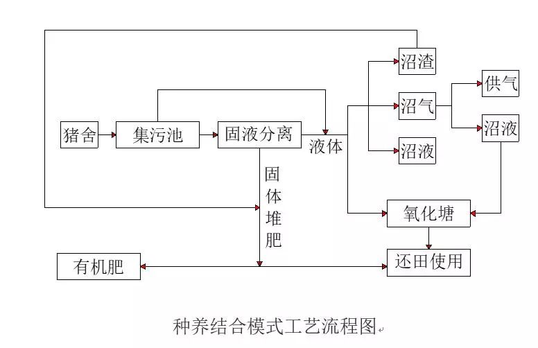 規模化豬場養殖廢水處理方法與工藝