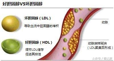 流动的过剩人口_胡贝军 雾霾中的 国民流动性过剩(2)