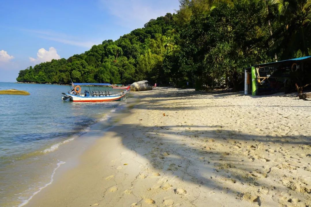 檳城包括檳榔嶼(因全島到處可見檳榔樹而得名)和大陸上的威斯利省