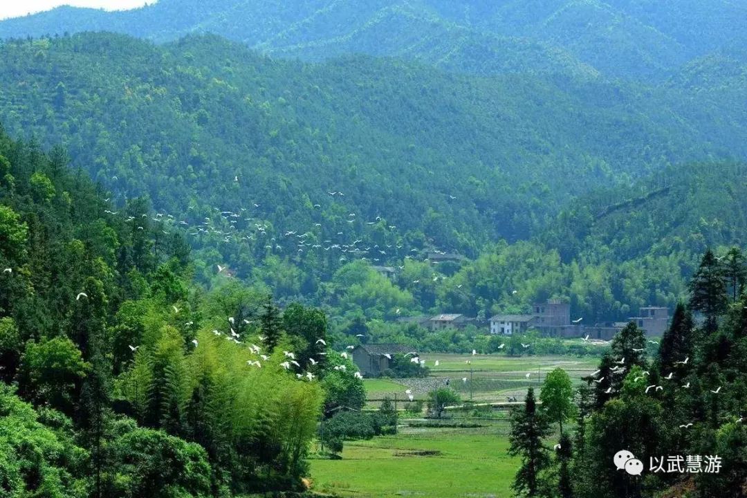 吉安遂川縣營盤圩鄉 江西省海拔最高的鄉政府所在地 境內環境山高