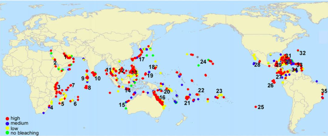 专家原创科普珊瑚礁为何失去了颜色
