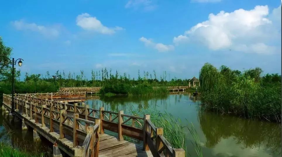 白塘河湿地公园图片