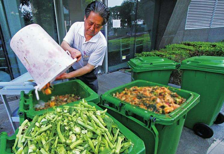 之前我国餐厨垃圾的主要用途是被城市周边的养殖户收集起来作为饲料