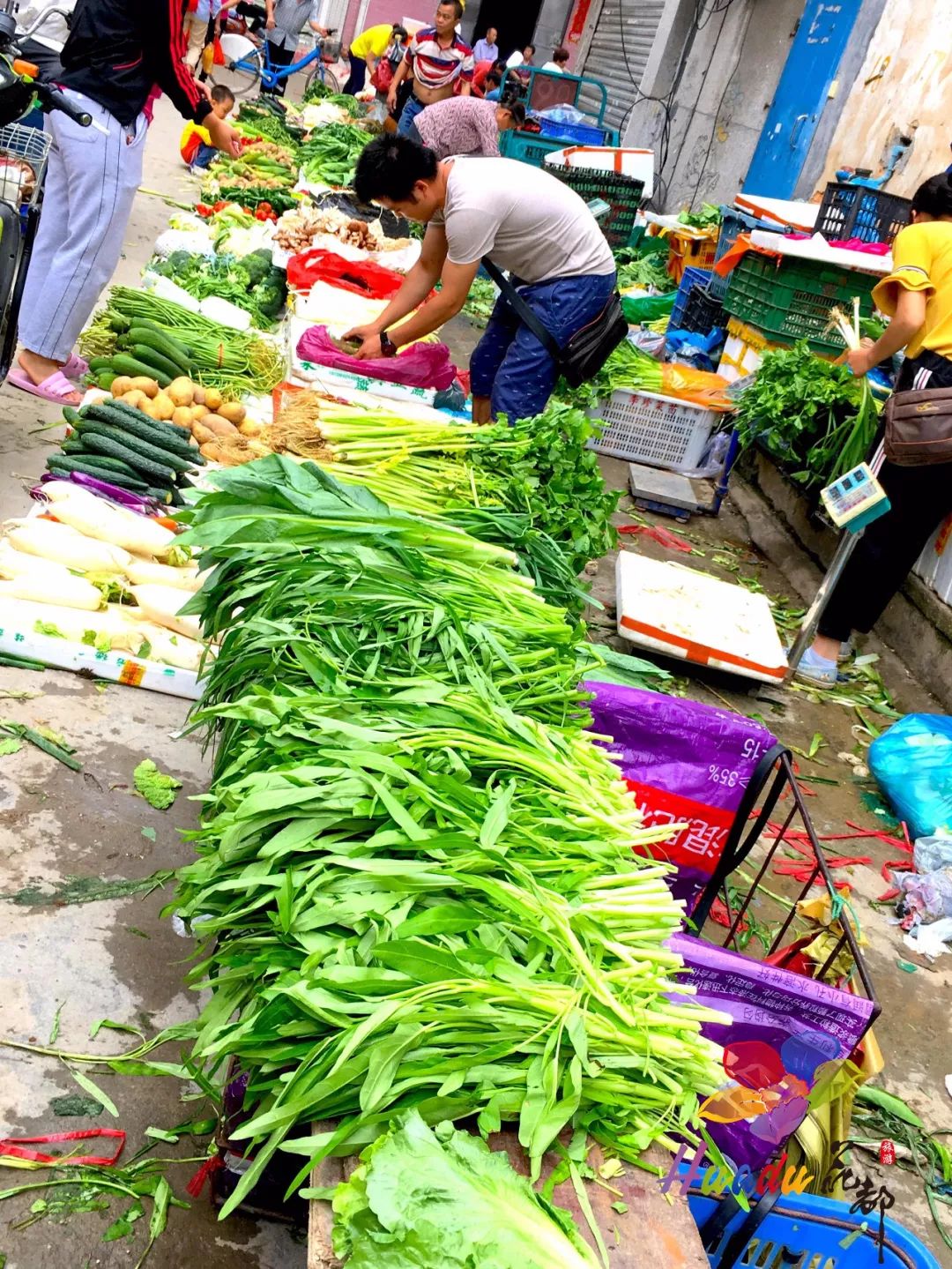 走跟小编去趁长岗墟咯喂你有多久没逛过了