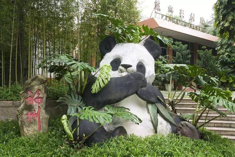 福州西湖熊猫世界图片