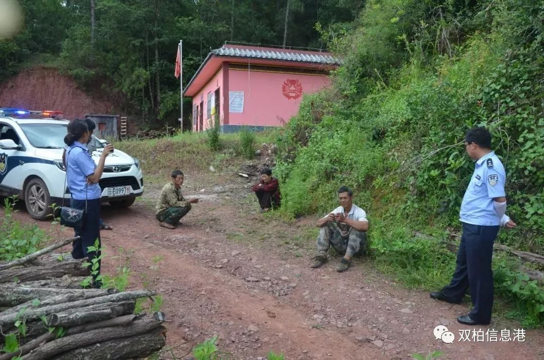 双柏邻里因采剥"麻栗树皮"引发纠纷,互不相让,场面混乱(图)