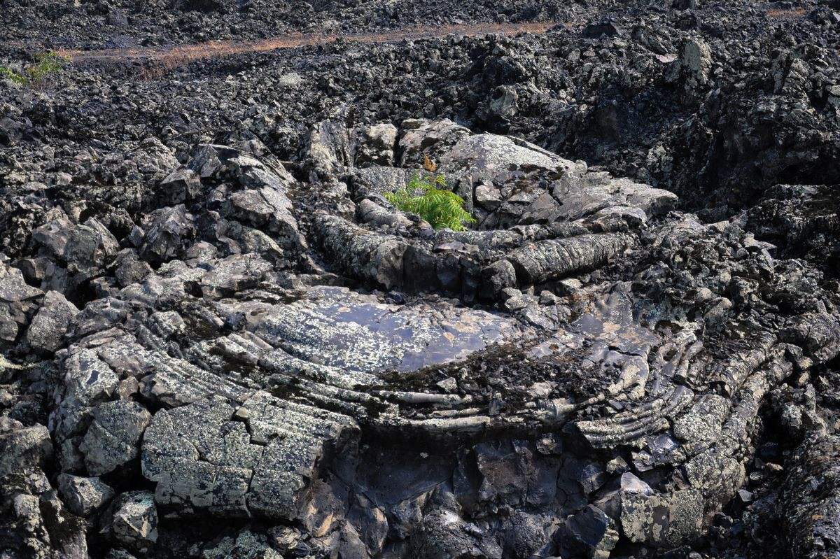 5大美丽湖泊4大火山地貌奇特景观五大连池门票195元值吗