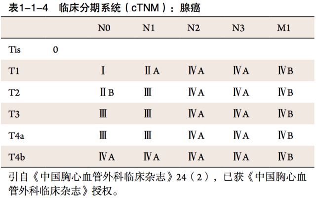 第八版食管癌tnm分期图图片