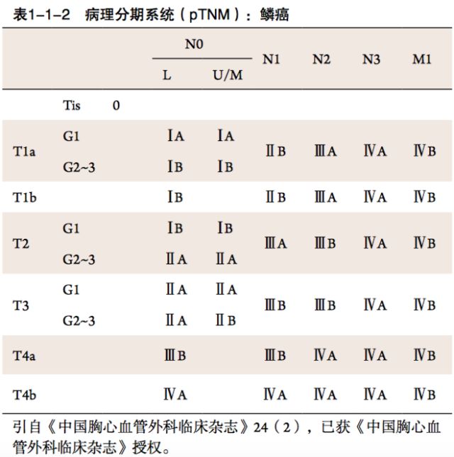 第八版食管癌tnm分期图图片