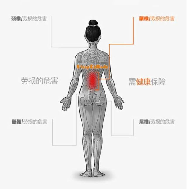 后腰疼痛位置图详解图片