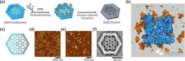 nature上海应物所樊春海课题组实现精确可控的dna二氧化硅固态纳米