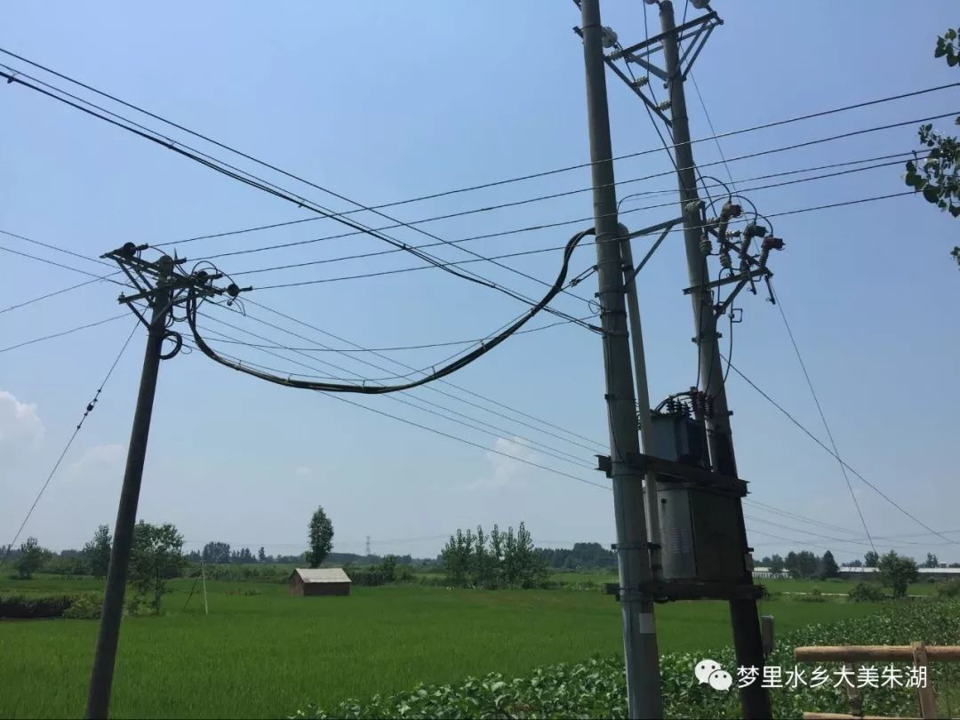 太陽出來我爬電杆(太陽出來我爬電杆搞笑版歌詞)