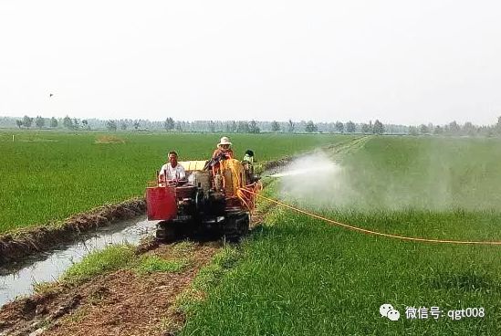 長江流域水稻防禦高溫田間管理技術意見