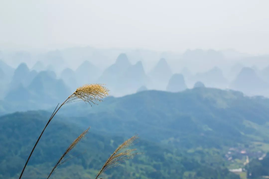 一半清醒一半醉夢裡現實皆完美