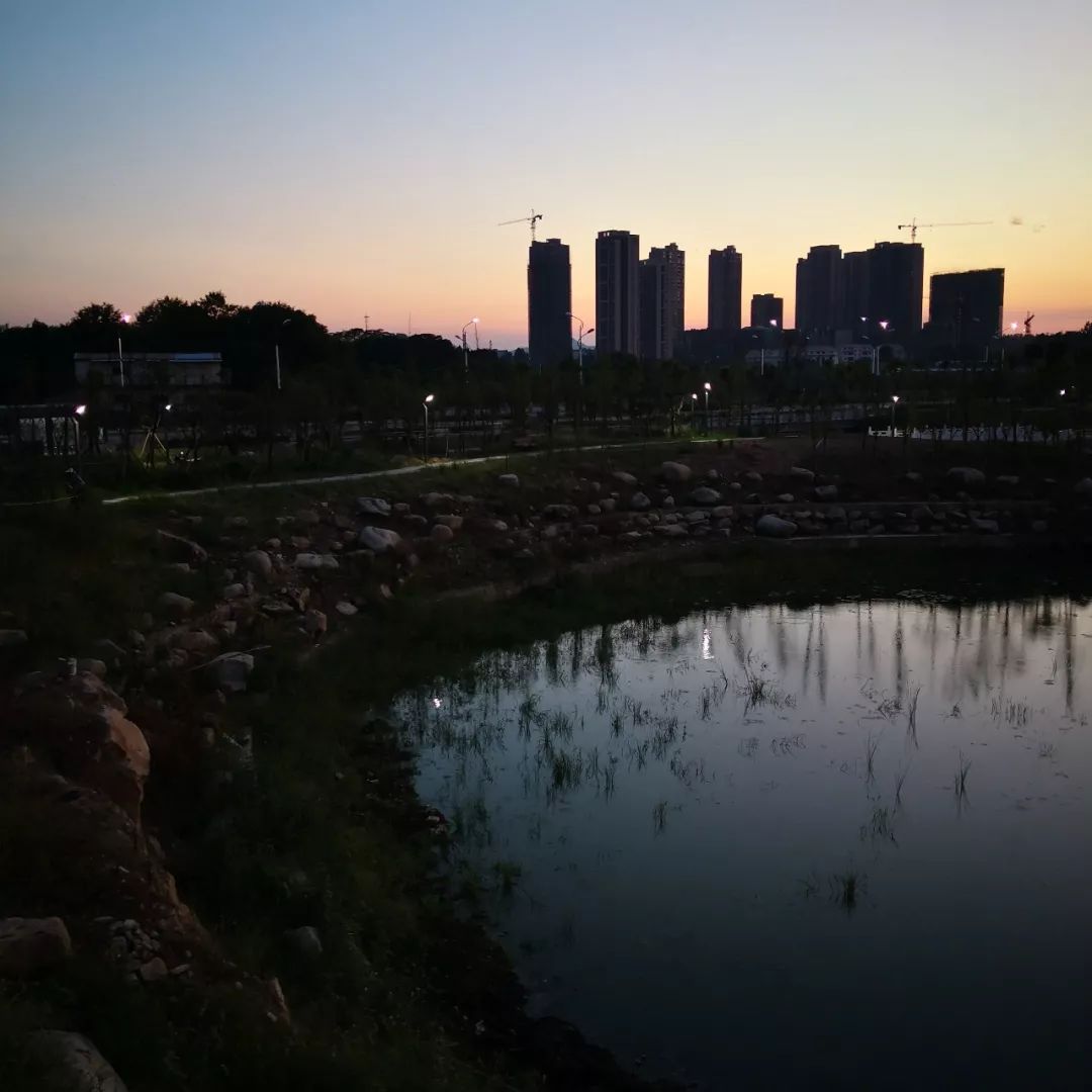 曾欣浠水月湖的夜景用手机怎么样拍