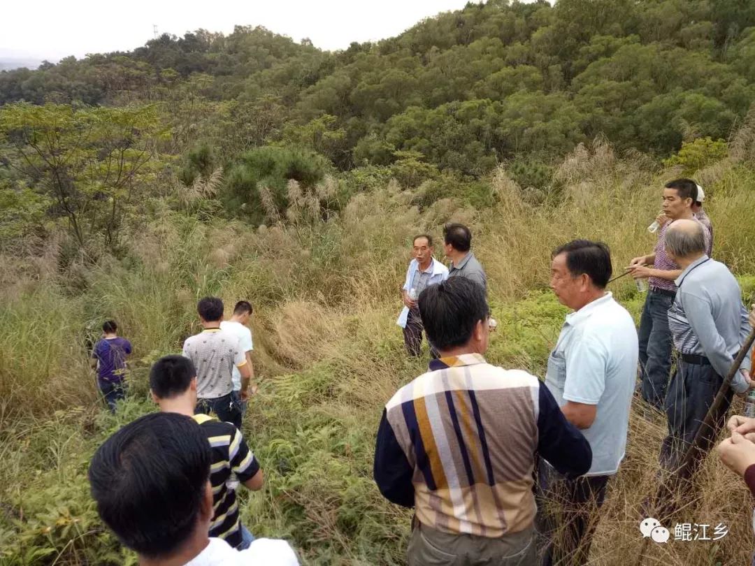 山路难走,遍山杂30高过人头,根本无从分辨方向.