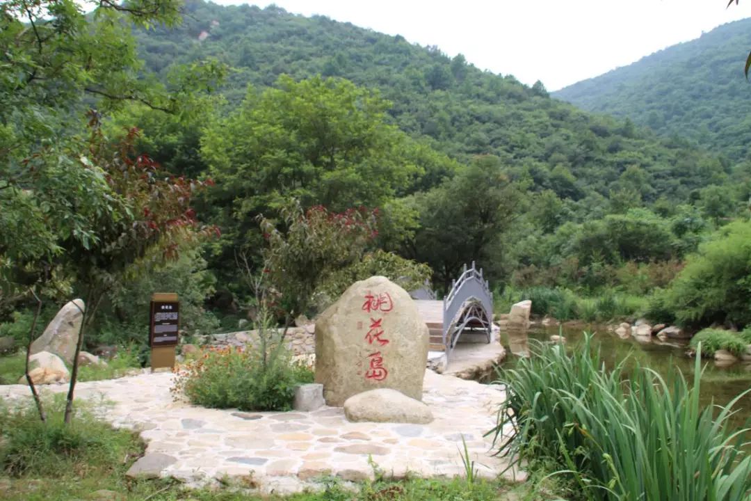 姚家山风景区一日游图片