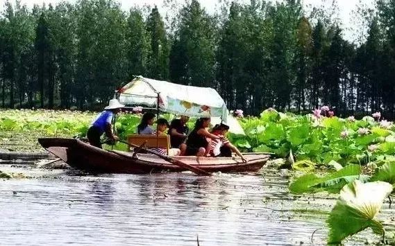 孝感城區出發經孝武大道,106省道到達汈汊湖熙鳳水鄉﹏﹏﹏﹏﹏﹏﹏﹏