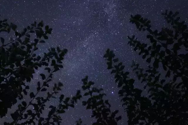 晉城這片原始森林美若仙境峰巒疊嶂伸手觸雲夜晚繁星璀璨