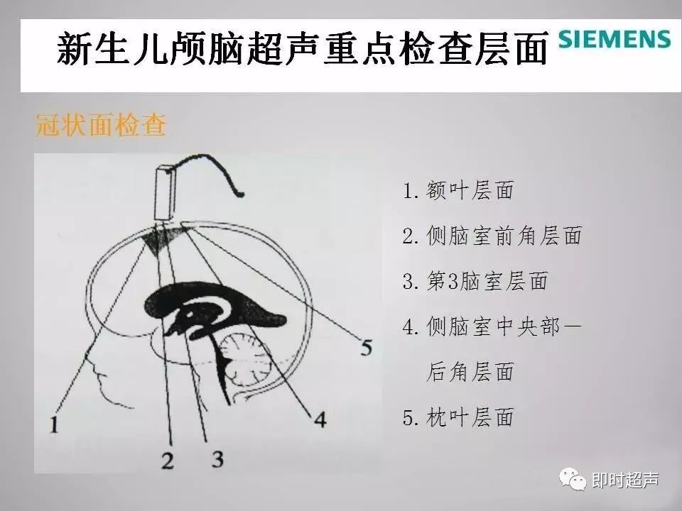 所以2岁内小儿均可以进行超声检查