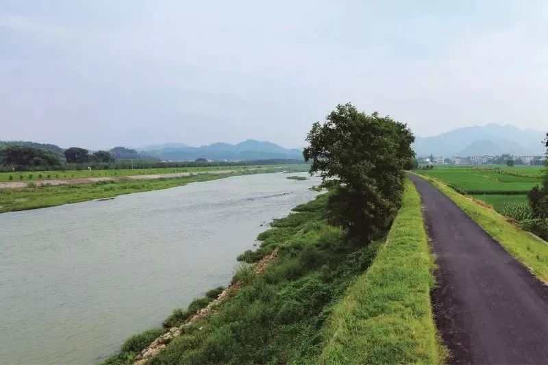 滨水滨岸慢行道美丽河湖的又一道风景