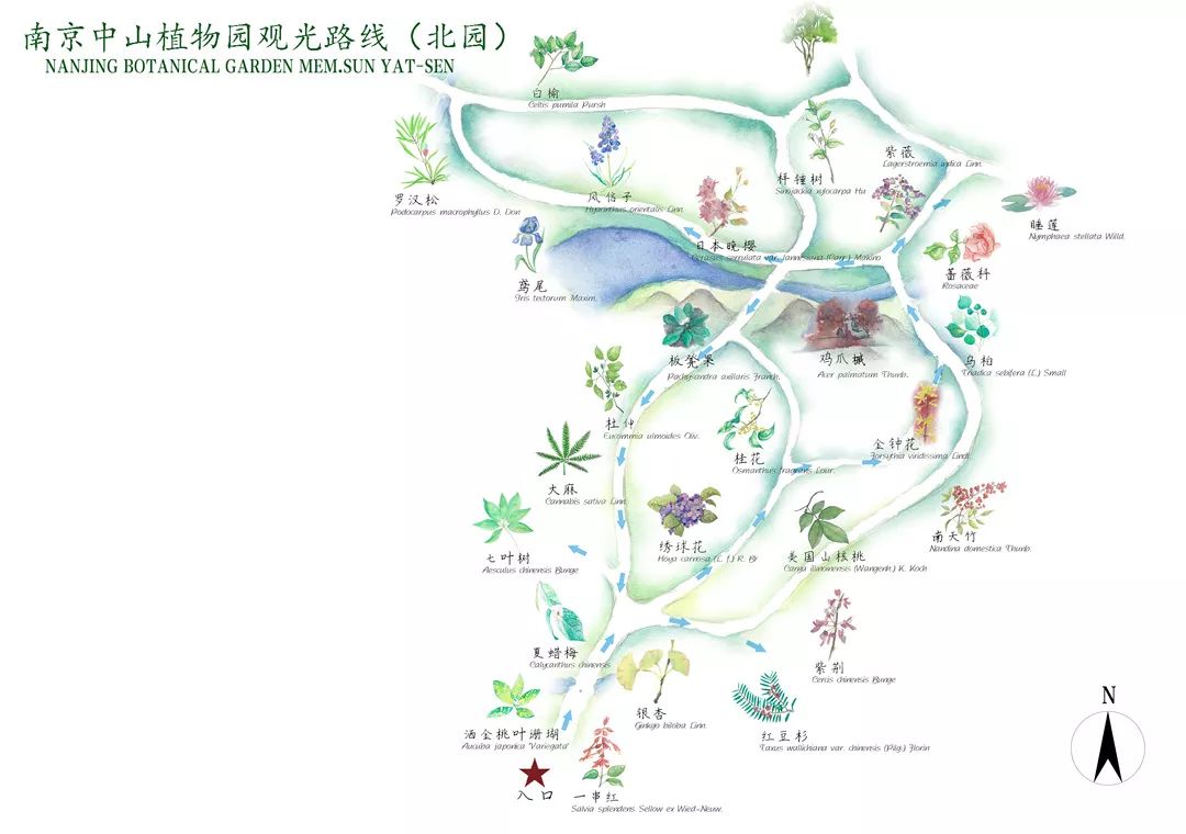 南京植物园地图图片