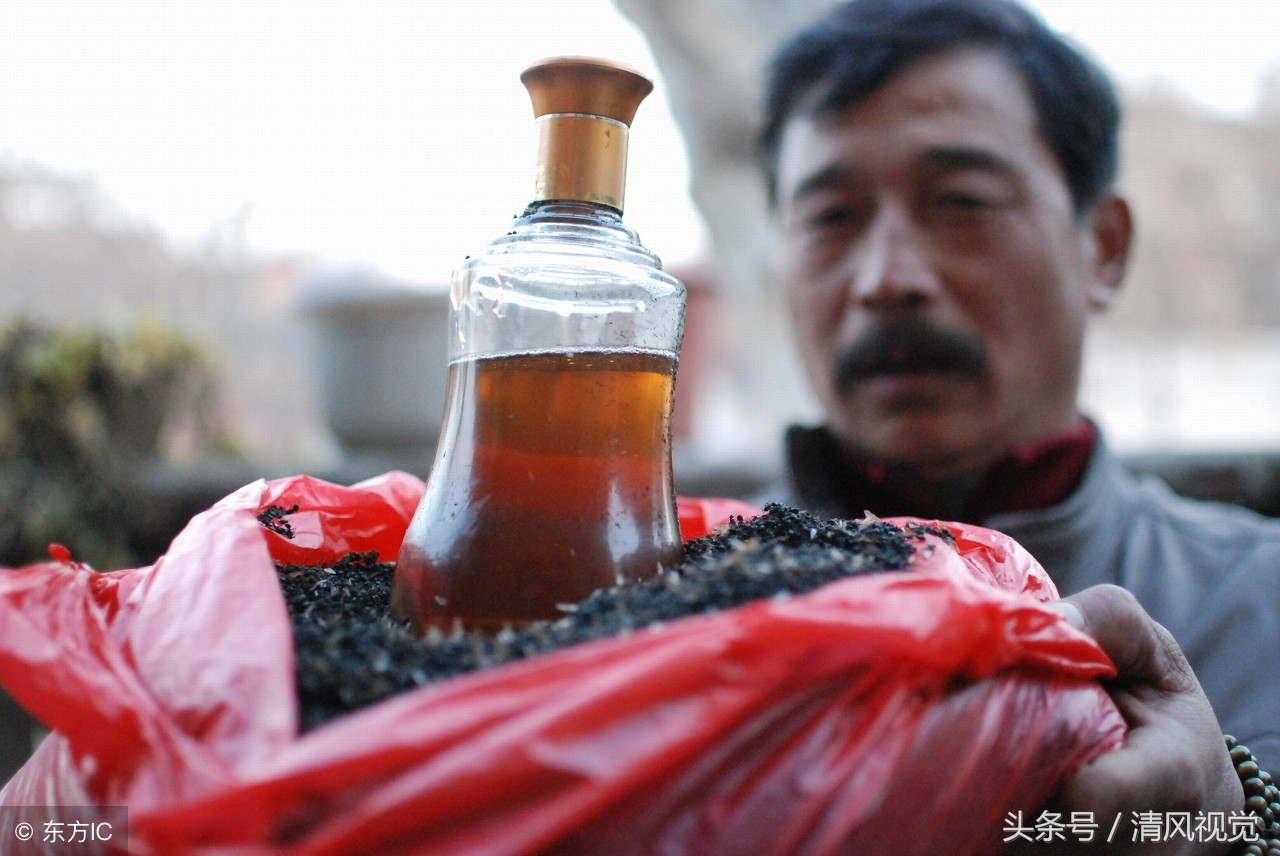 九江50多岁农民生财有道，野外抓蚂蚁一斤卖800元，客户遍布全国-搜狐大视野-搜狐新闻