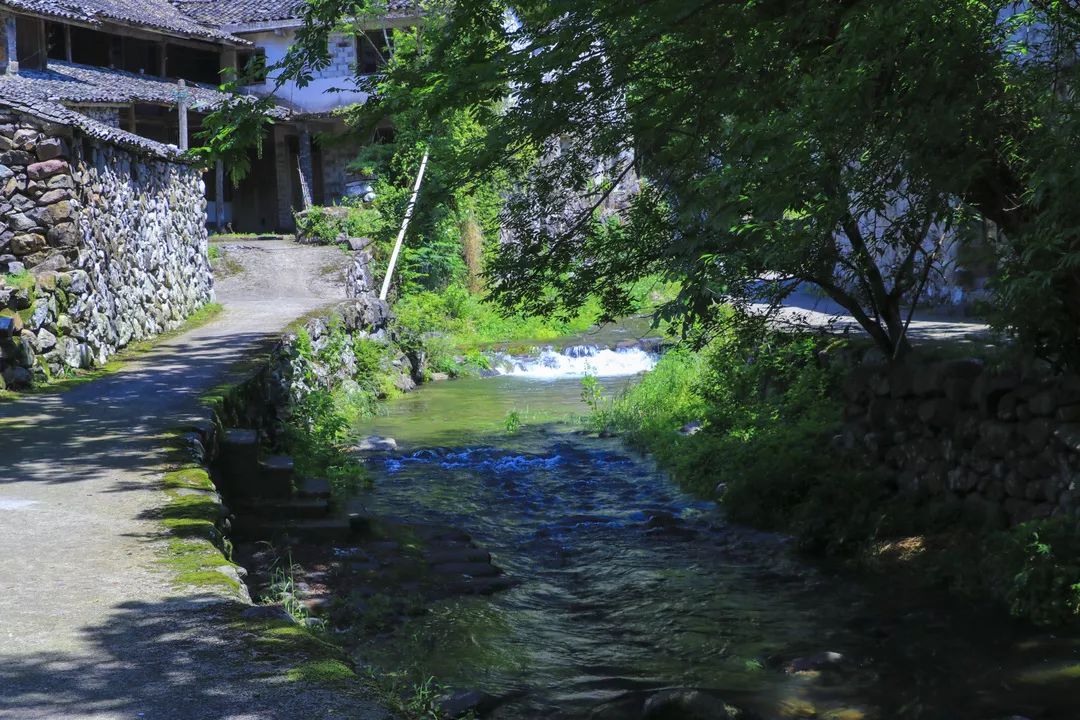 臨海江南街道的小村小橋流水人家青山綠水和白牆灰瓦在煙雨朦朧中,若