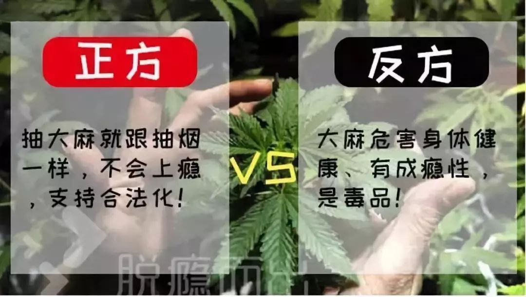 加拿大大麻合法化对你我都有哪些影响