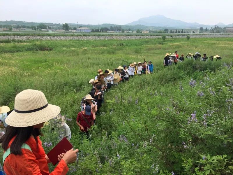 地科实习成长记熊孩子变为地质学小专家上山下海无所不能